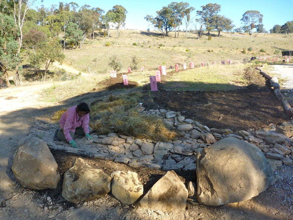 Sabina creating rockwork (we called it a riprap, which is vaguely accurate) to direct excess water from the road