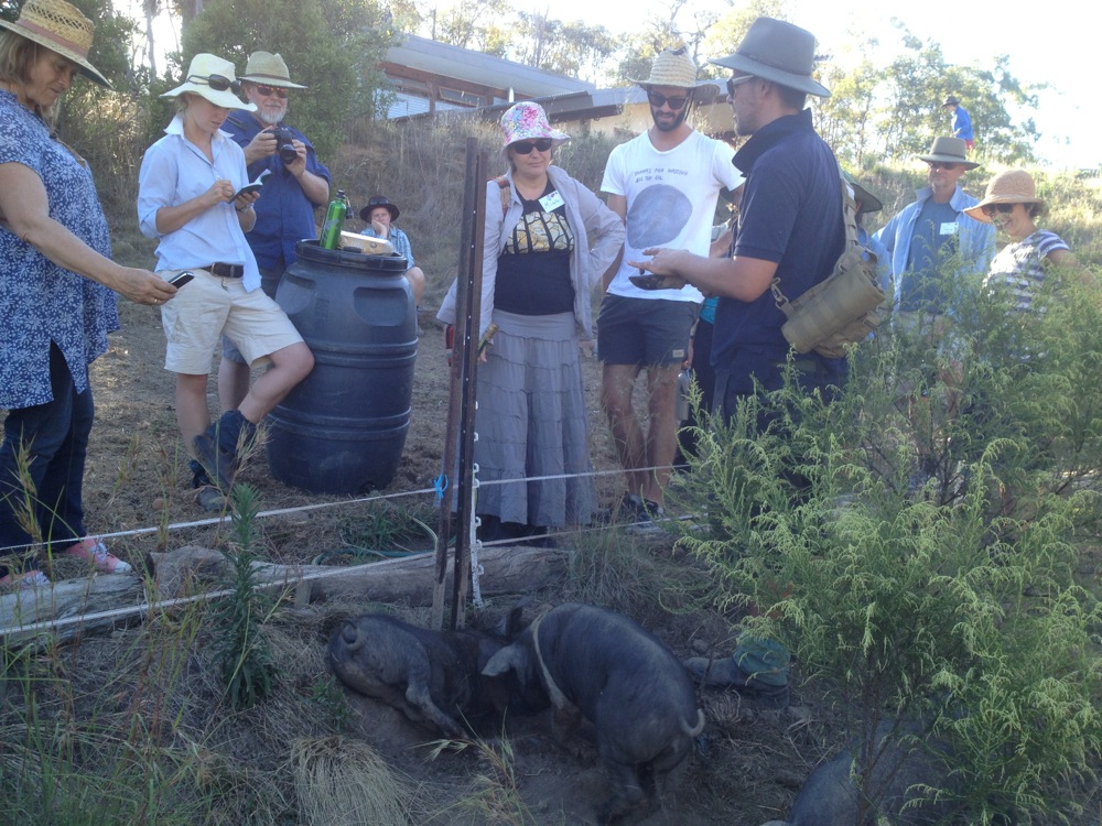 Floyd discussing pig tractors with our current PDC students