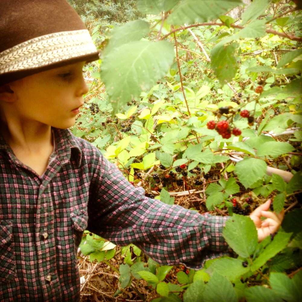 Train em young. Curretnly getting a '1 for the bucket, 10 for me' ratio, but I'm trying to build incentive with promises of jam