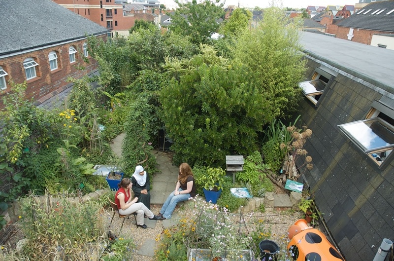 Rooftop forest garden in London