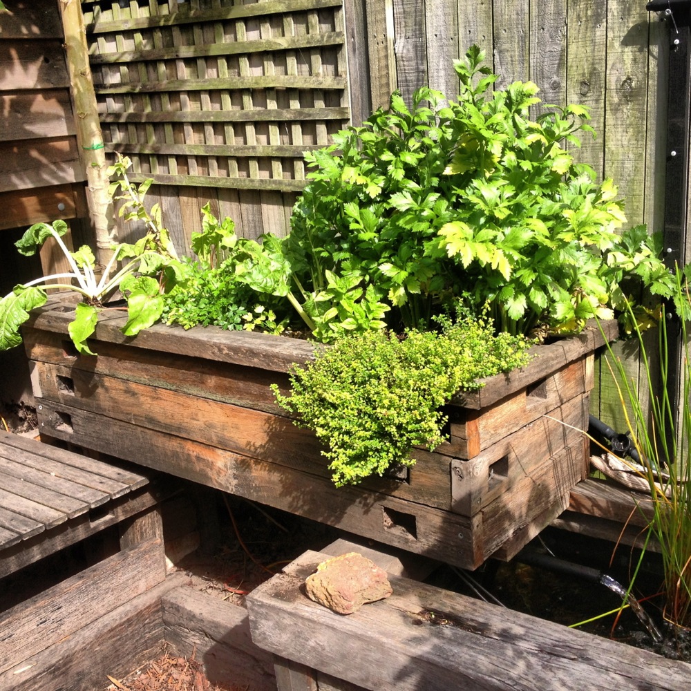 Aquaponics veggie bed