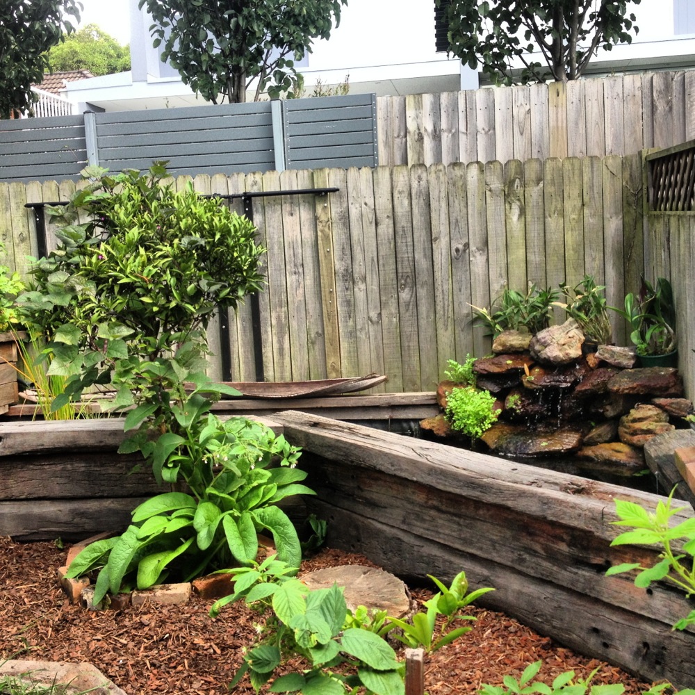 Aquaponics fishpond with a rock cascade at the back