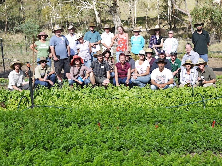 What a great crew of future growers! Yeehar!