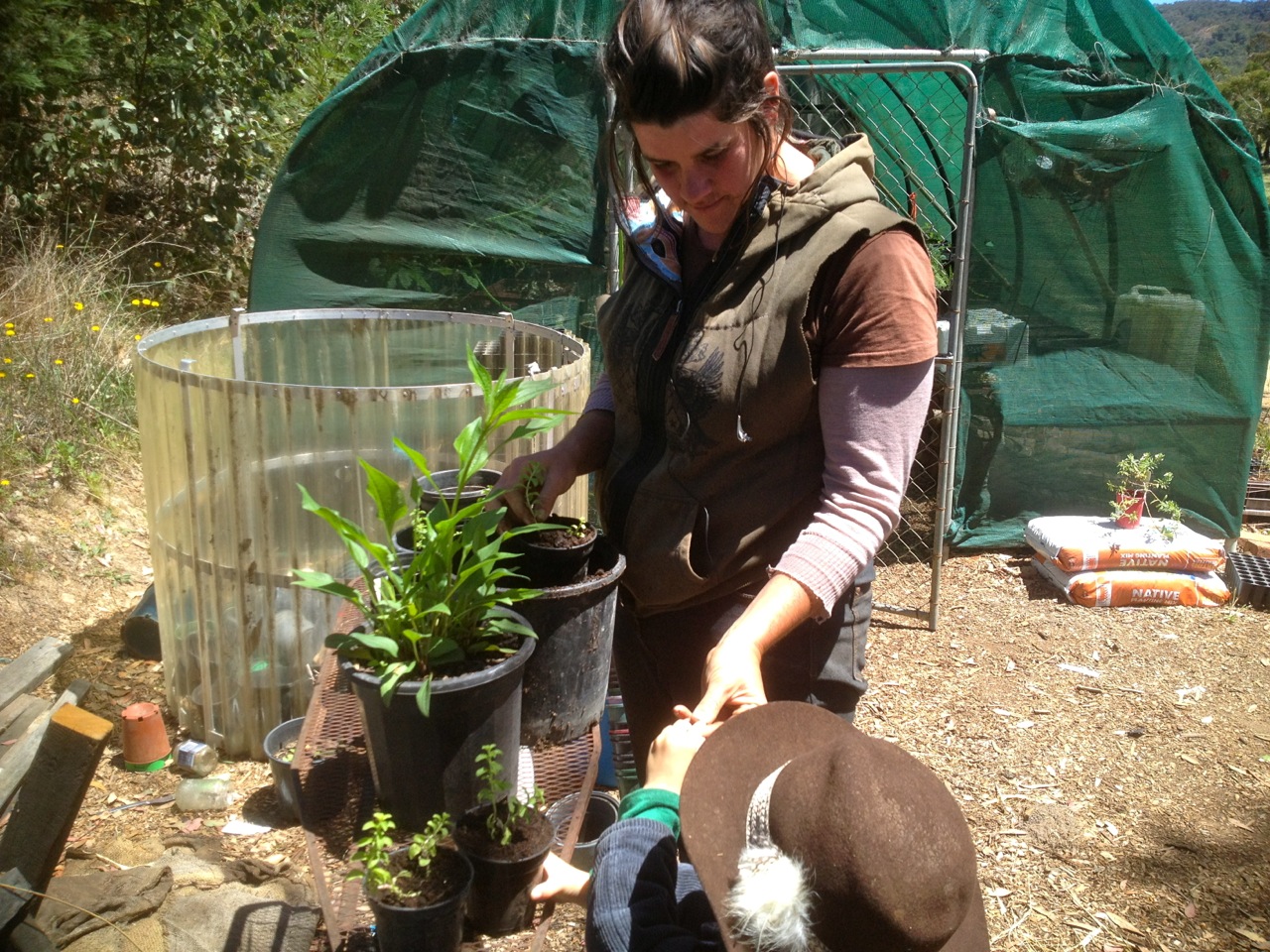 And creating a gazillion cuttings for future plantings