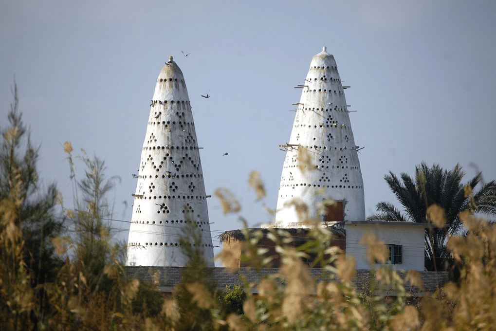 Dovecotes in Egypt