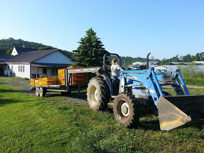 Setting up for chicken processing day - here come the broilers