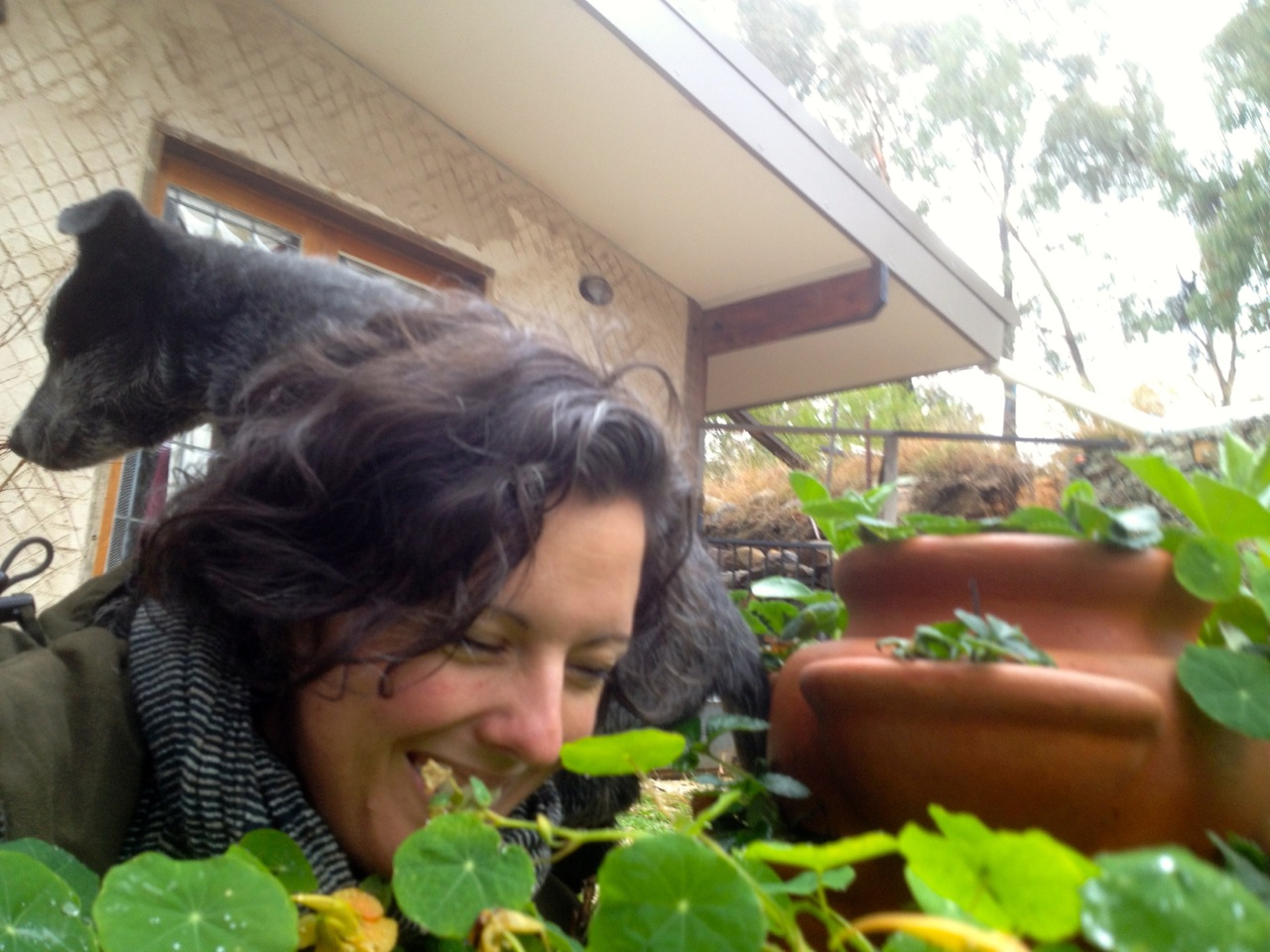 Trying to take a reasonable selfie in the tinyhouse garden in the rain for a gardening magazine. I did not succeed.