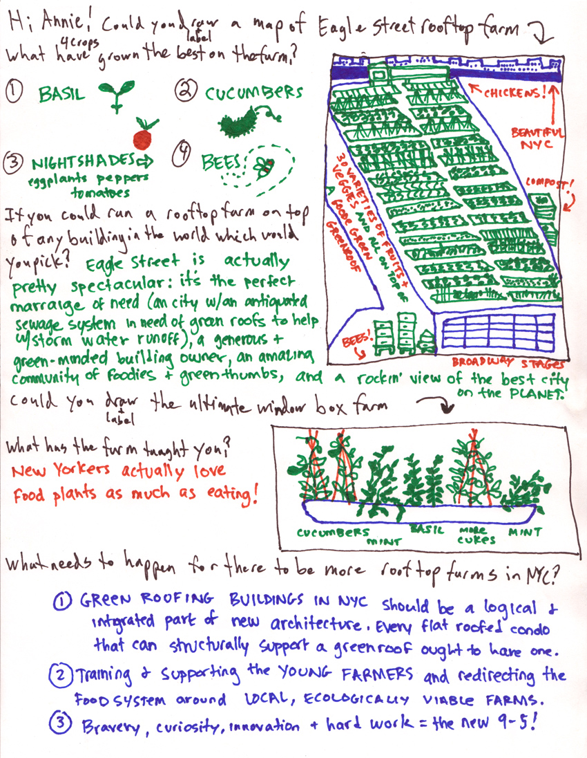 The why and how of Eagle Street Rooftop farm. Image © Tom Selby