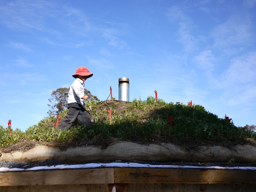 1309 living roof - 11