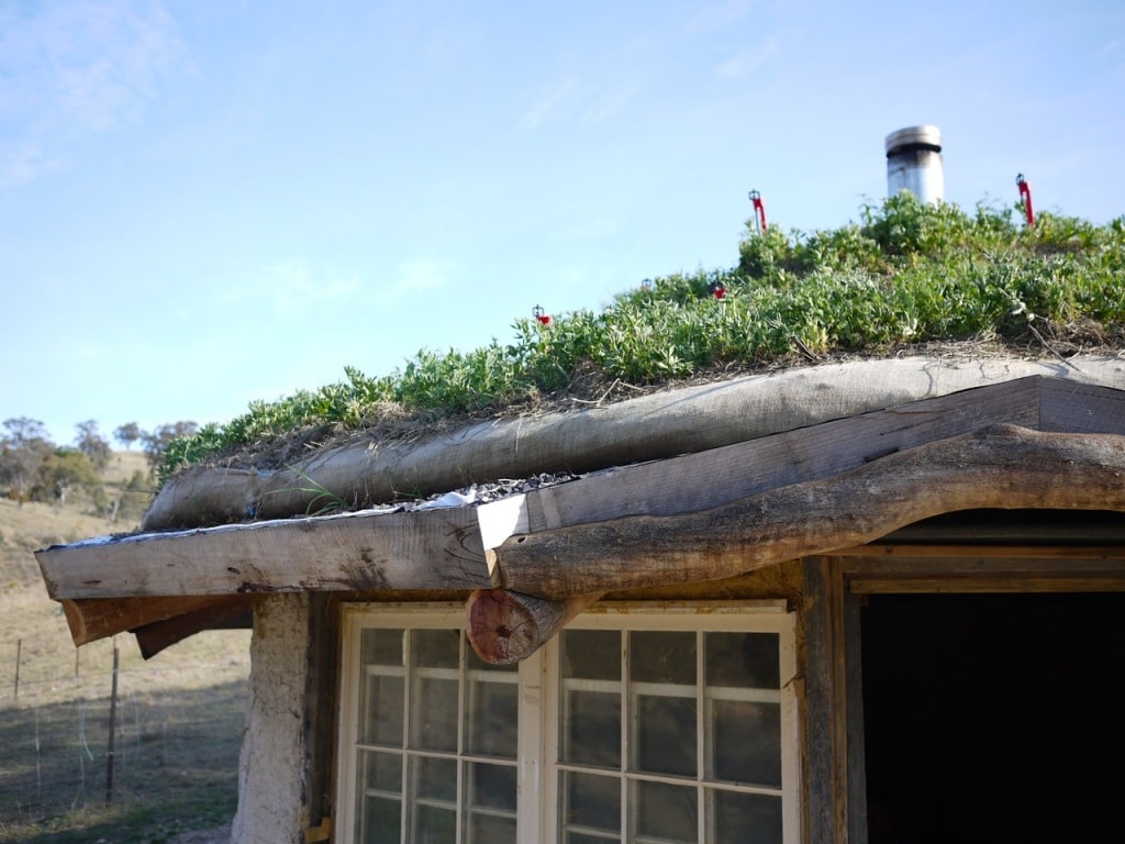 1309 living roof - 12.1