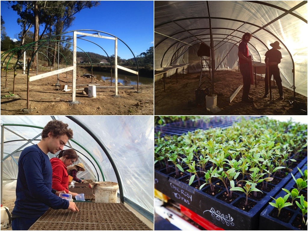 greenhouse collage