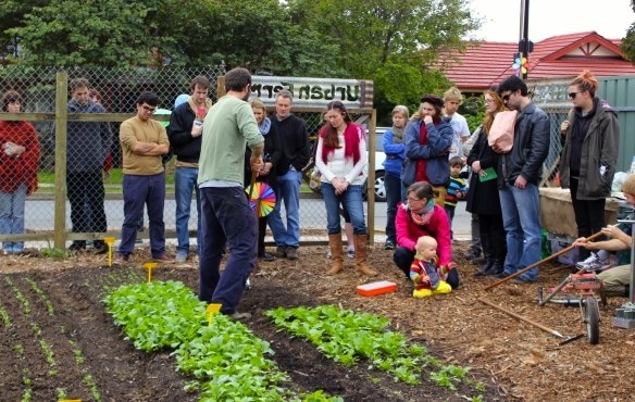 wagtail urban farm17