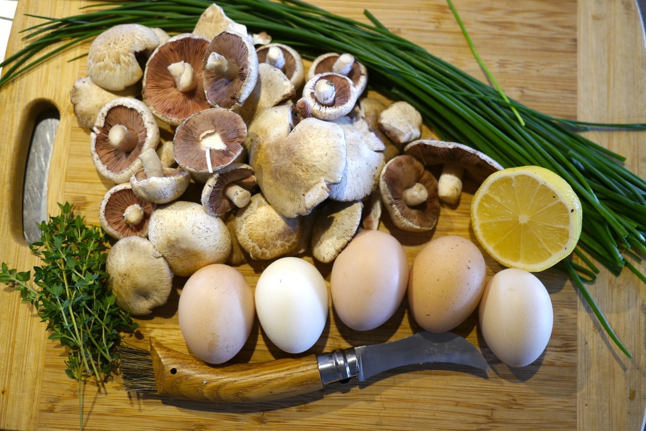 Our latest haul of field mushrooms from the paddock near our house. Note the opinel mushroom foraging knife! Great little piece of kit, that one.