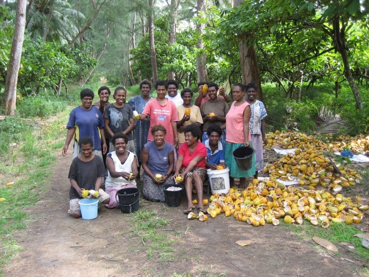 Harvest 2011