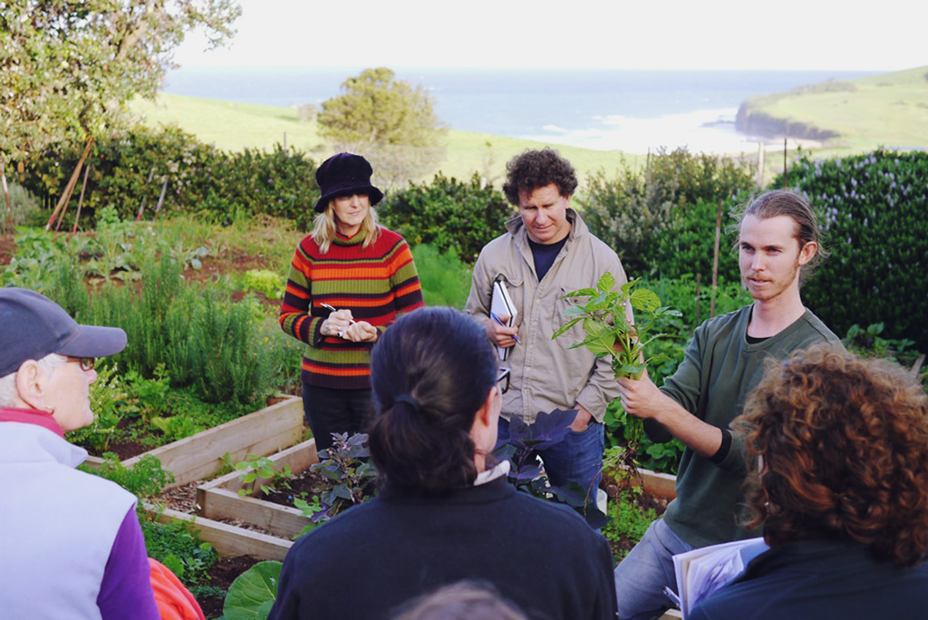 Talking plant guilds - Serious Backyard Veggies at Buena Vista Farm