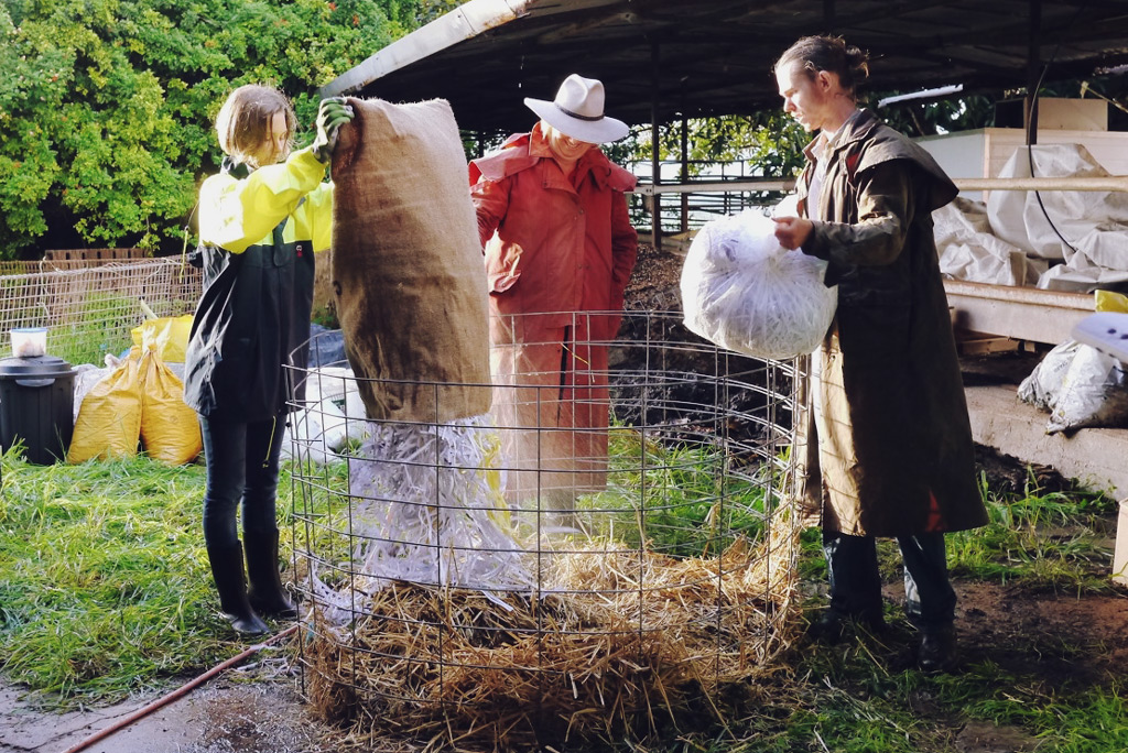 Compost making - Serious Backyard Veggies at Buena Vista Farm