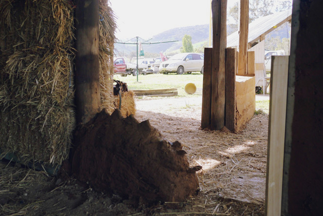 cobb construction at Milkwood's Natural Building course