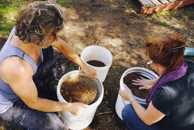 sieving clay at Milkwood's Natural Building course