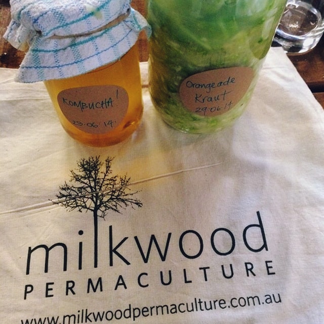 fermentation workshop goodies