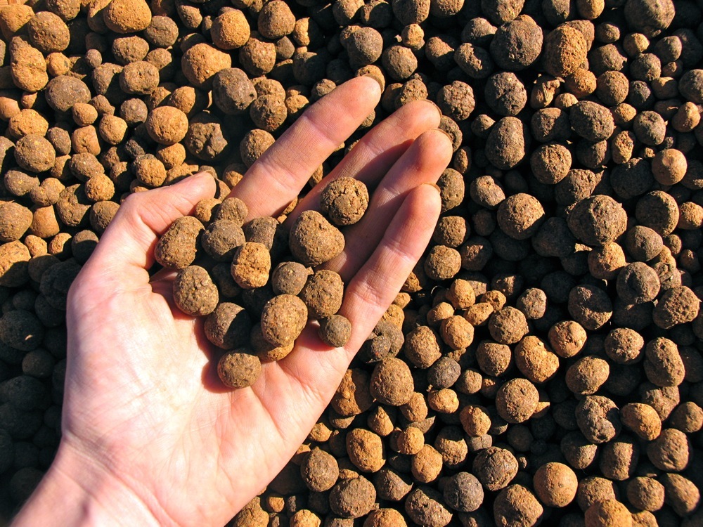 Seedballs - a great way to get good things growing in bare places