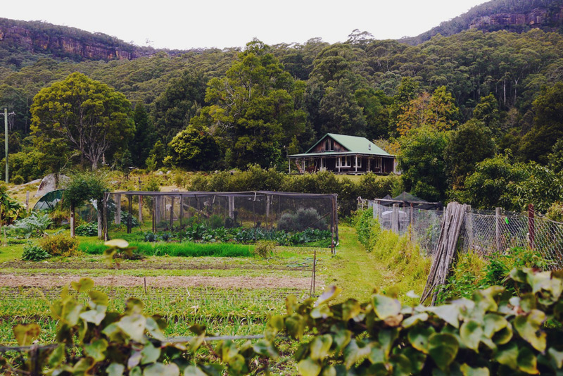 1408-kangaroo-valley-permaculture---03