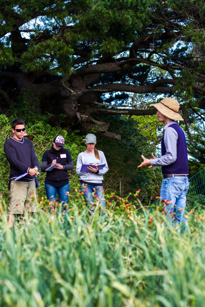 Intro to Market Gardening | Milkwood Permaculture, 13 Sep 2014.