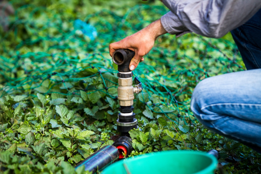 Intro to Market Gardening | Milkwood Permaculture, 13 Sep 2014.