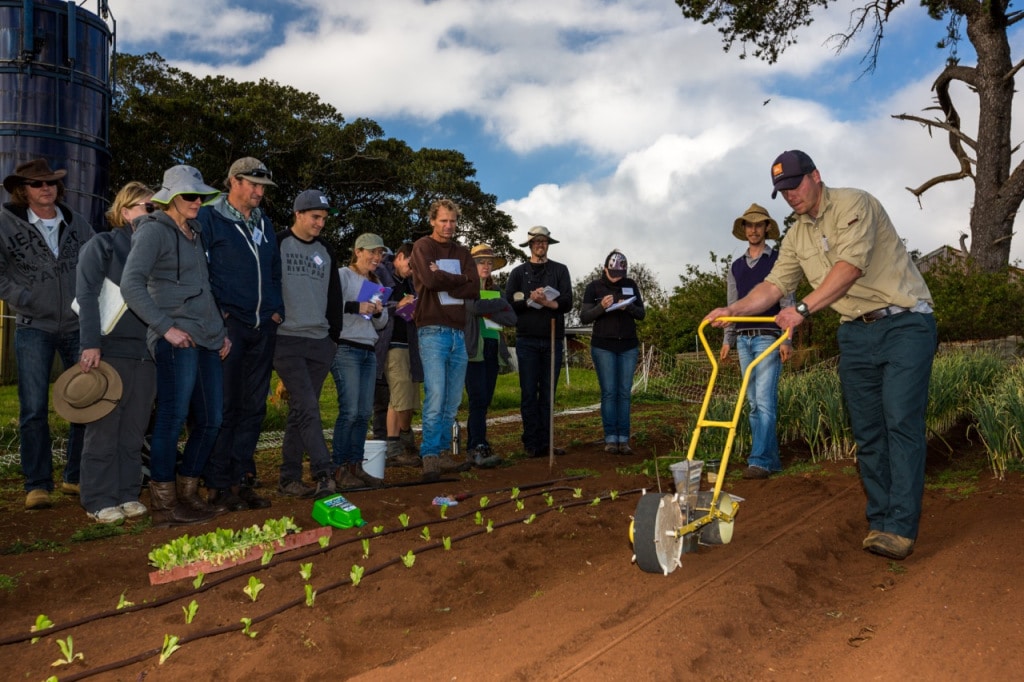 Intro to Market Gardening | Milkwood Permaculture, 13 Sep 2014.