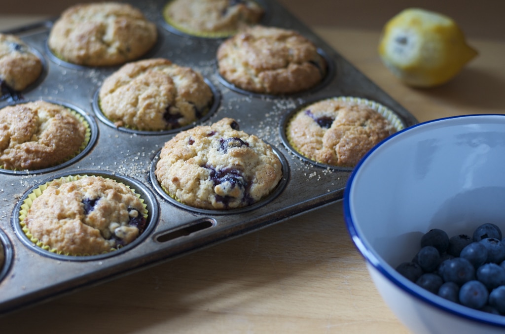 Blueberry Muffins- Brydie Piaf