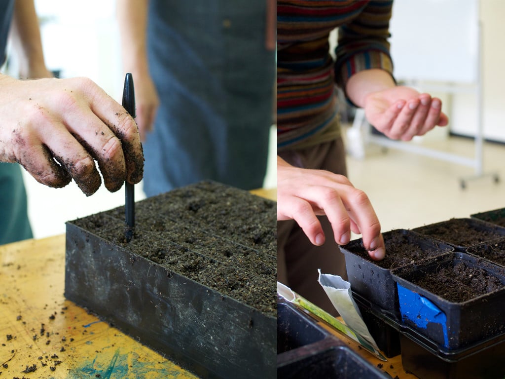 Use a pen as a dibber to make holes for your seeds.