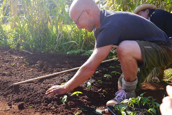 biointensive growing course 352