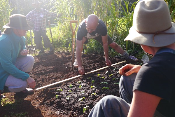 biointensive growing course 364