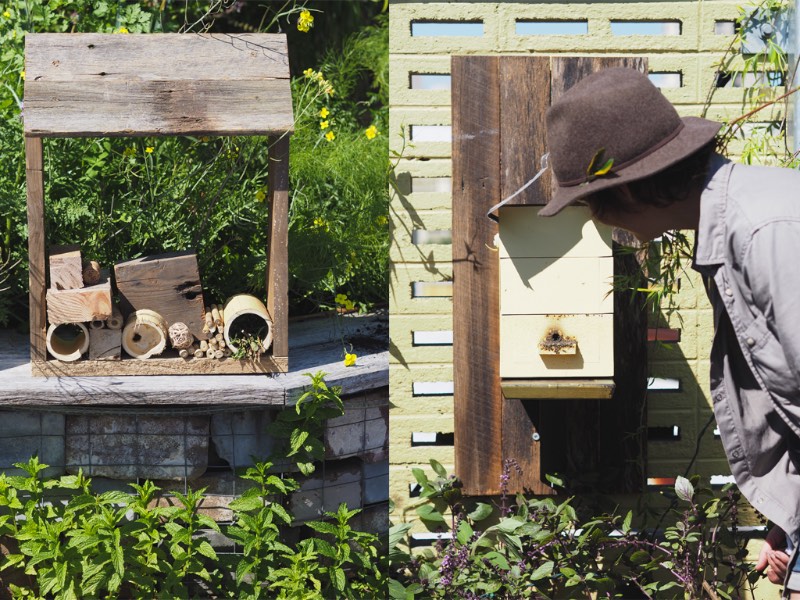 Installing Native Bees + Making Insect Hotels 16