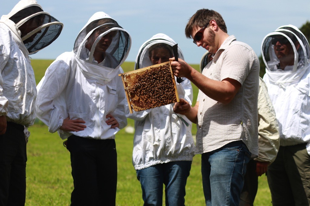 Spring Natural Beekeeping Course 350