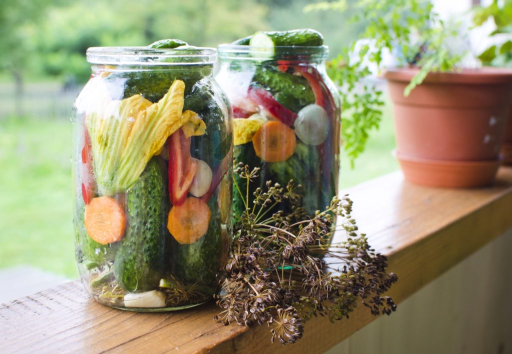 Vegetable ferments