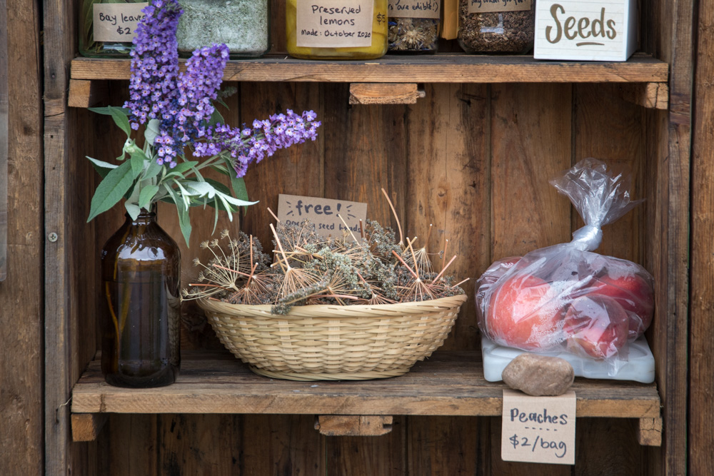 Homegrown produce and seeds on The Local Yum honesty stall.