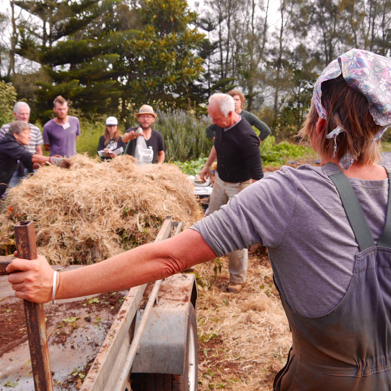 Biointensive Growing Course