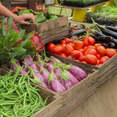 Introduction to organic market gardening courses