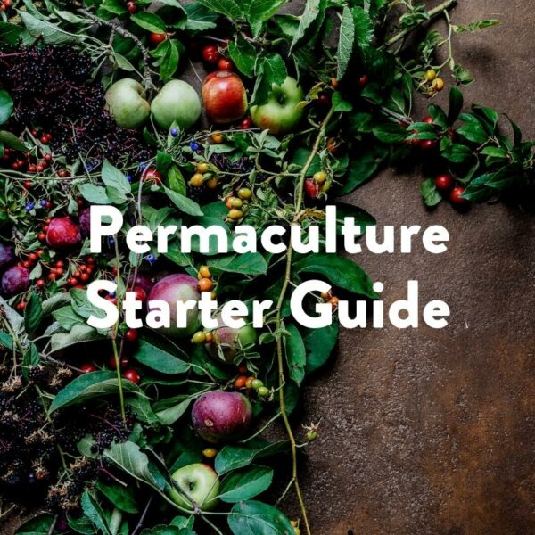 Permaculture Starter Guide