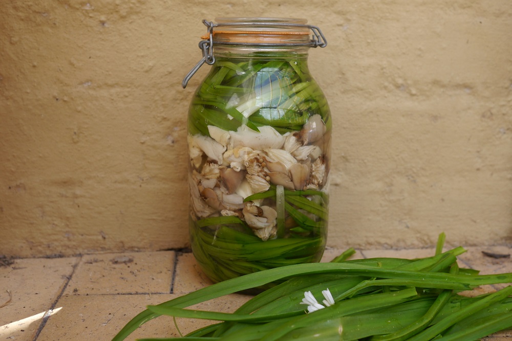 Delicious pickled mushrooms in a jar.