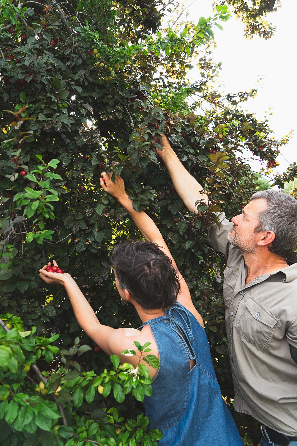 Kirsten and Nick foraging wild fruit.